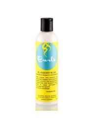 BLUEBLERRY BLISS REPARATIVE LEAVE IN 8oZ